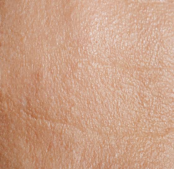 COMBINATION SKIN TYPE